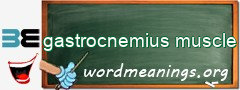 WordMeaning blackboard for gastrocnemius muscle